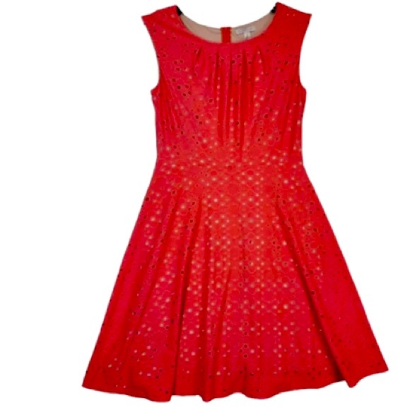 Dress Barn Fit and Flare Eyelet Sleeveless Dress - Picture 3 of 6
